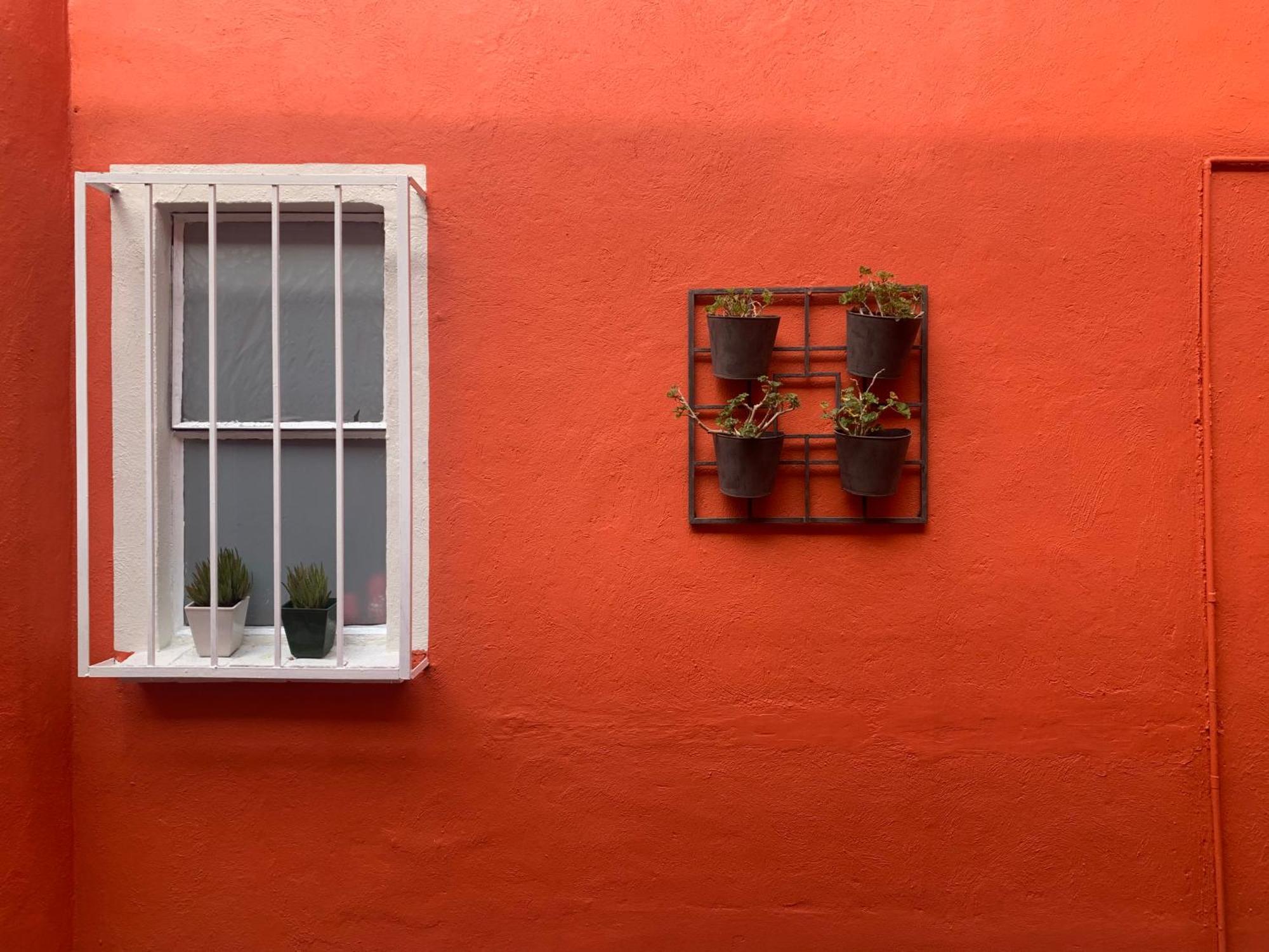 Villa Coyoacan México DF Exterior foto